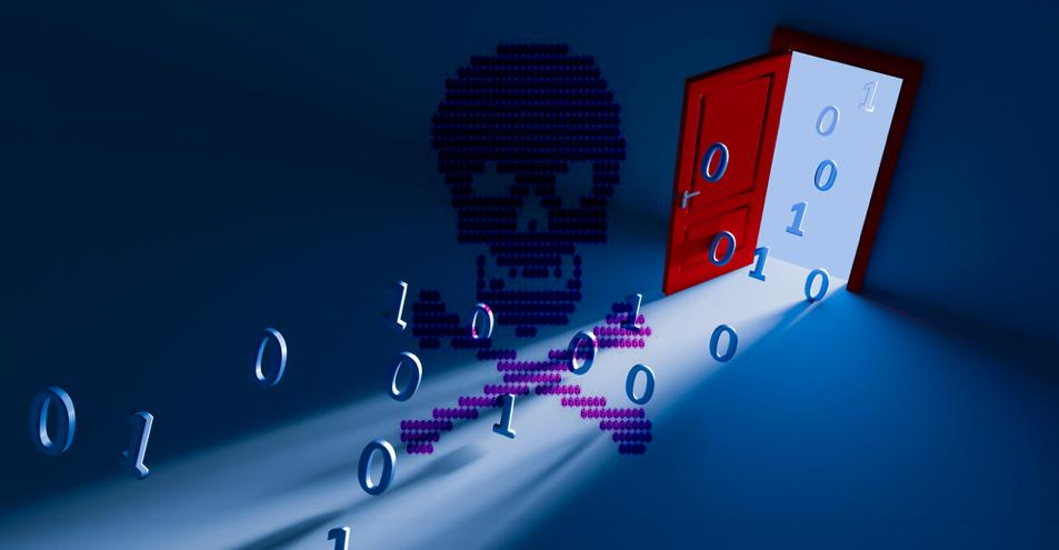 Backdoor website malware attack